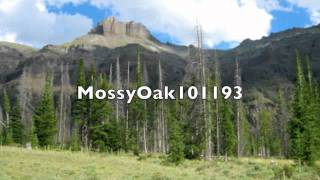 Psycho Girlfriend -Jessie James- Lyrics In Description