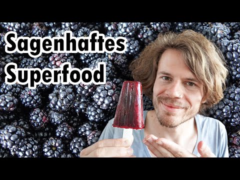 Brombeeren - Kostenlose Vitaminbomben aus dem Wald - Merkmale, Inhaltsstoffe, Märchen, Rezept