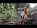 Massive tree falls on ABC13 Meteorologist Kevin Roth's house during severe storms