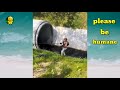 HUMANITY WHATSAPP STATUS Faith In Humanity