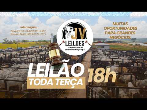 JV LEILÕES - AO VIVO  -18/08/2026 SANCLERLÂNDIA - GO