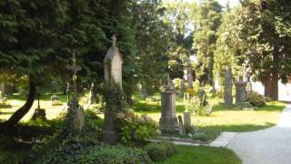 Bob Dylan   Death is not the end