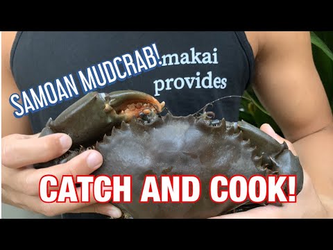SAMOAN MUD CRAB CATCH N COOK!!!