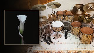 Video thumbnail for Animals As Leaders - Monomyth | GGD Matt Garstka Signature Drums Preset by Amygdala Audio