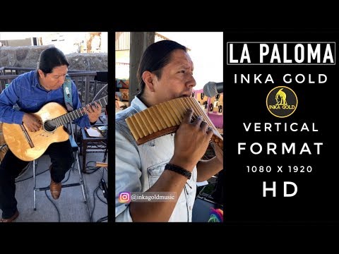 download lagu mp3 mp4 Paloma Gold, download lagu Paloma Gold gratis, unduh video klip Paloma Gold