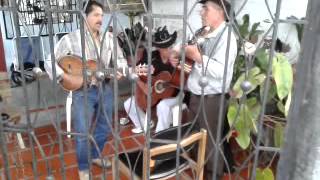 preview picture of video 'Música popular La Ceja Antioquia'