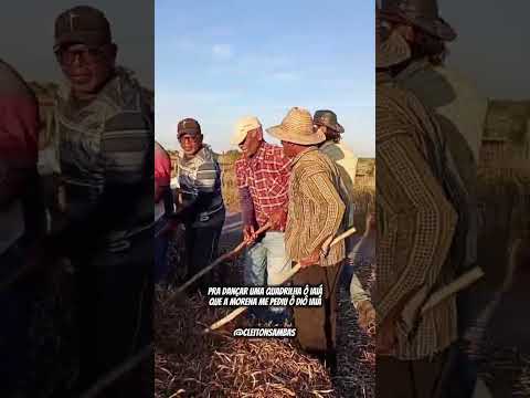 Bata de feijão em Serra preta Bahia 🌵🎶