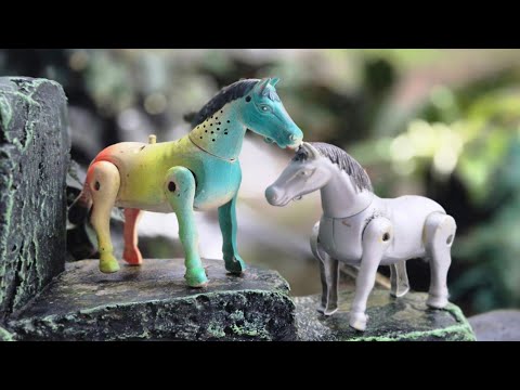 WADIDAW..! MENEMUKAN KUDA LUCU, MERAKIT KUDA WARNA WARNI, KUDA KUDAAN, KUDA PONI