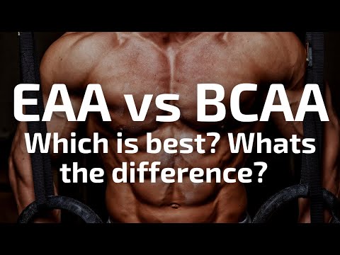 BCAAs vs EAAs Supplements : Which one is better? What is the difference?