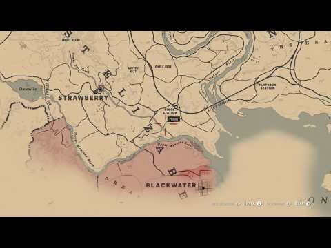 RDR 2: Getting an Opossum for Wildlife Art Exhibition III