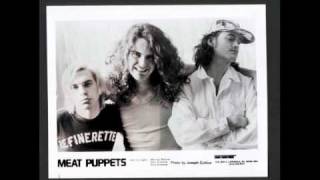 Meat Puppets - Tennessee Stud