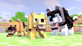 Minecraft Mod: NOVOS CACHORROS! (Raças // Copious Dogs)
