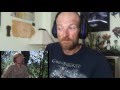Pete S Dragon Official Trailler Reaction