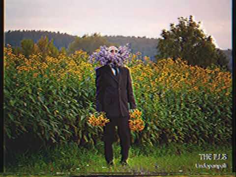 The Ills - 02 - Undopanpali - Life Is Random (2024)