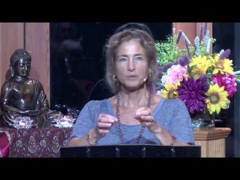 Tara Talks: Trusting our Awakening - Tara Brach