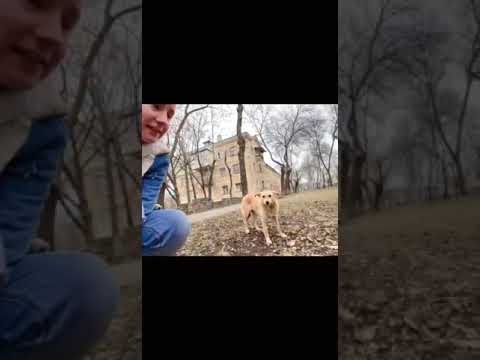 Pomôžme Dafne kúpiť dodávku, lieky a jedlo pre ukrajinských vojakov na fronte