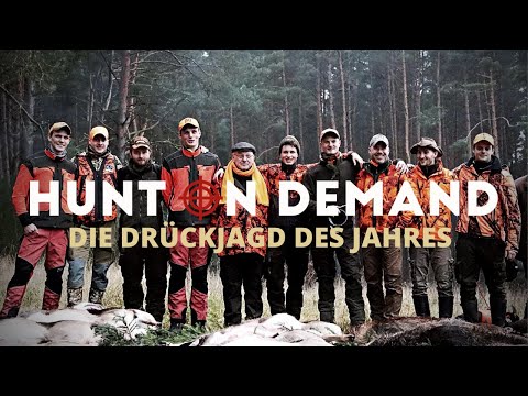Die Drückjagd des Jahres