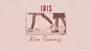 Iris - Kina Grannis (lyrics cover)