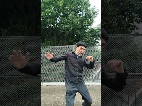 宮拳法カーフキック