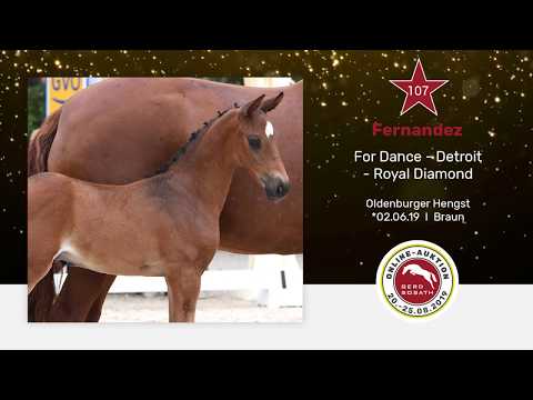 107 Fernandez Hengstfohlen von For Dance aus der Dancing Dakota von Detroit x Royal Diamond