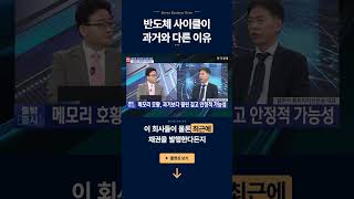 반도체 사이클이 과거와 다른 이유 | 용환석 페트라자산운용 대표ㅣ김치형 앵커