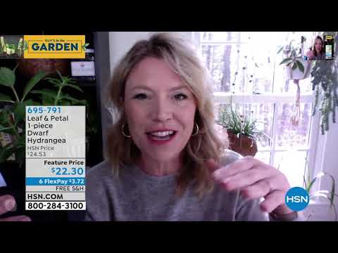 HSN | Guy's in the Garden 04.17.2020 - 09 AM