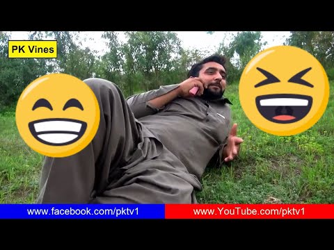 Lalach Buri Bala Hai Funny Video By PK Vines 2019 | PK TV