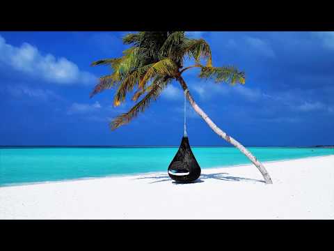 Fredji ft. Arcade - Ocean [No Copyright Music]