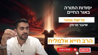 הרב חייא אלמליח פרשת השבוע אמור – 🔥 לג בעומר 🔥🔥🔥שיעור מרתק על האור החיים | 🔴 שידור חי (הרב מיכאל לסרי) - התמונה מוצגת ישירות מתוך אתר האינטרנט יוטיוב. זכויות היוצרים בתמונה שייכות ליוצרה. קישור קרדיט למקור התוכן נמצא בתוך דף הסרטון