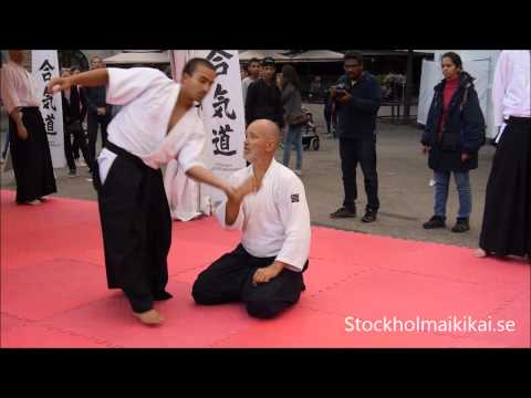Aikido-WeAreStockholm.2014 vid 07 720p