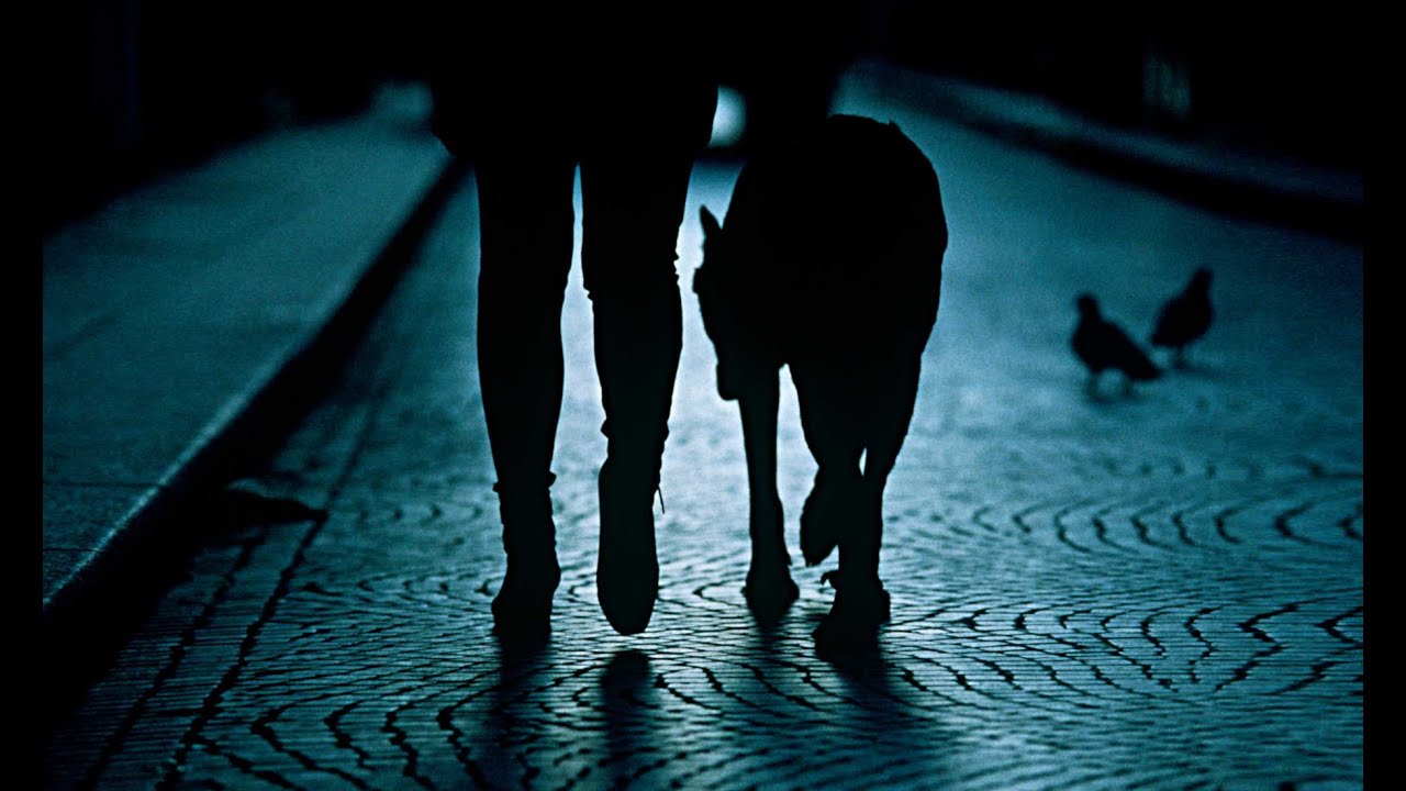 3 Disturbing TRUE Dog Walking Horror Stories