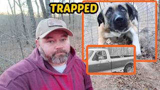 Multiple Dogs Went Into the Trap... Then This Happened