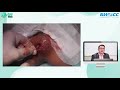https://www.youtube.com/embed/bBSsBWX-SHI