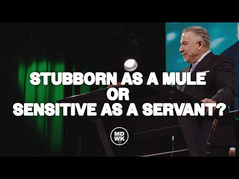 Stubborn as a Mule or Sensitive as a Servant? | Tim Dilena