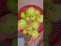 Mini Vlog Day 57 Pujarani Minivlog Angul