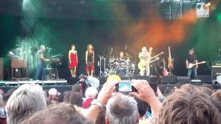 Wolfgang Ambros Live Donauinselfest 2013 HD (fast Komplett)