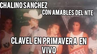 chalino sanchez clavel en primavera en vivo (letra)