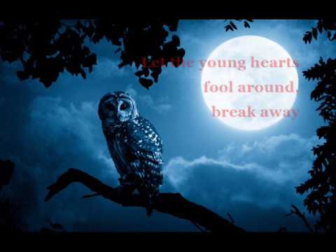 Foxes - Night Owls Early Birds (Lyrics)