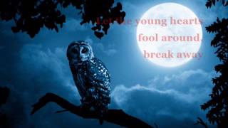 Foxes - Night Owls Early Birds (Lyrics)