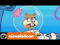 Bob Esponja 500 ª Rodeo Latinoamérica NickEnEspañol