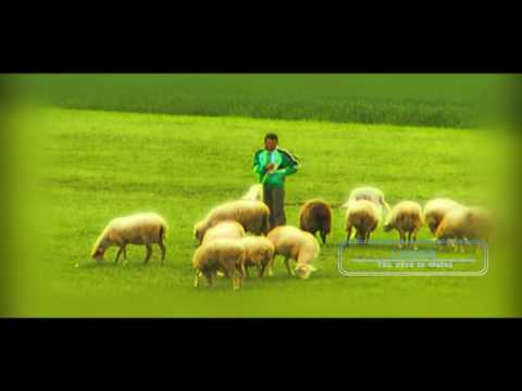 PSALMI 23: Vargu 1 - Film Dokumentar nga Logos