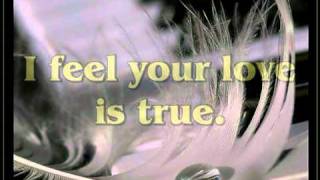 Dress Me When I Bleed (lyrics).mpg