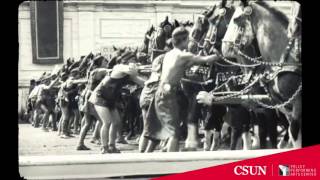 Ben-Hur's Impact on Hollywood & Filmmaking