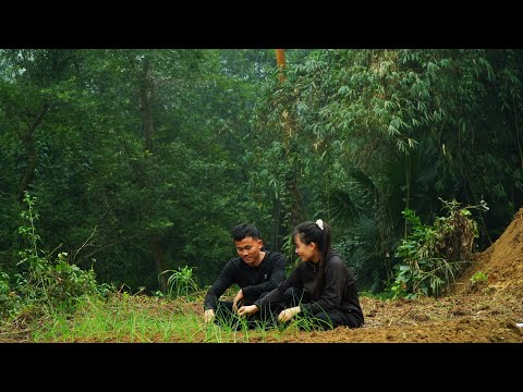 Searching for clean water sources, preparing for the new vegetable crop