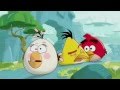 ANGRY BIRDS TOONS SEASON ONE VOLUME ONE Trailer On DVD 2nd December