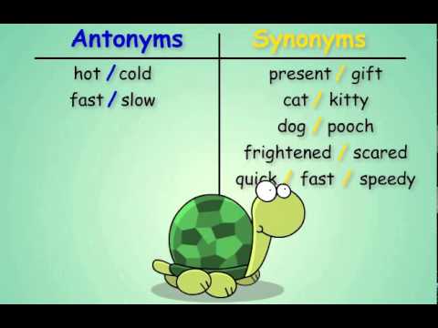 Part of a video titled Antonyms and Synonyms - YouTube