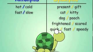 Antonyms and Synonyms