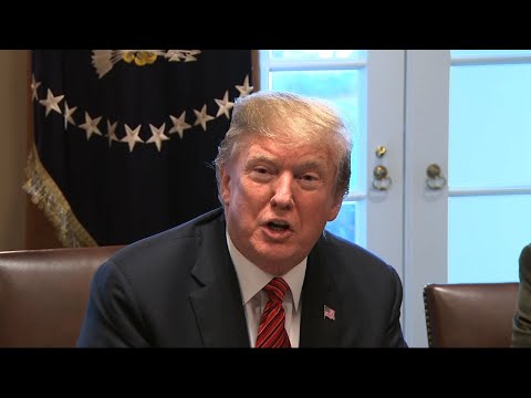 President Donald Trump is dismissing the arrest of a Chinese woman caught carrying a device containing computer malware at his private Florida club, saying it was "just a fluke situation." (April 3)