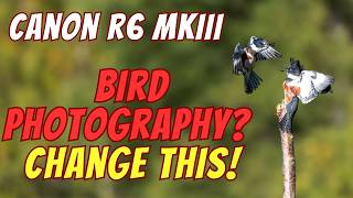 Canon R6 MKIII - Bird Photography Autofocus Setup