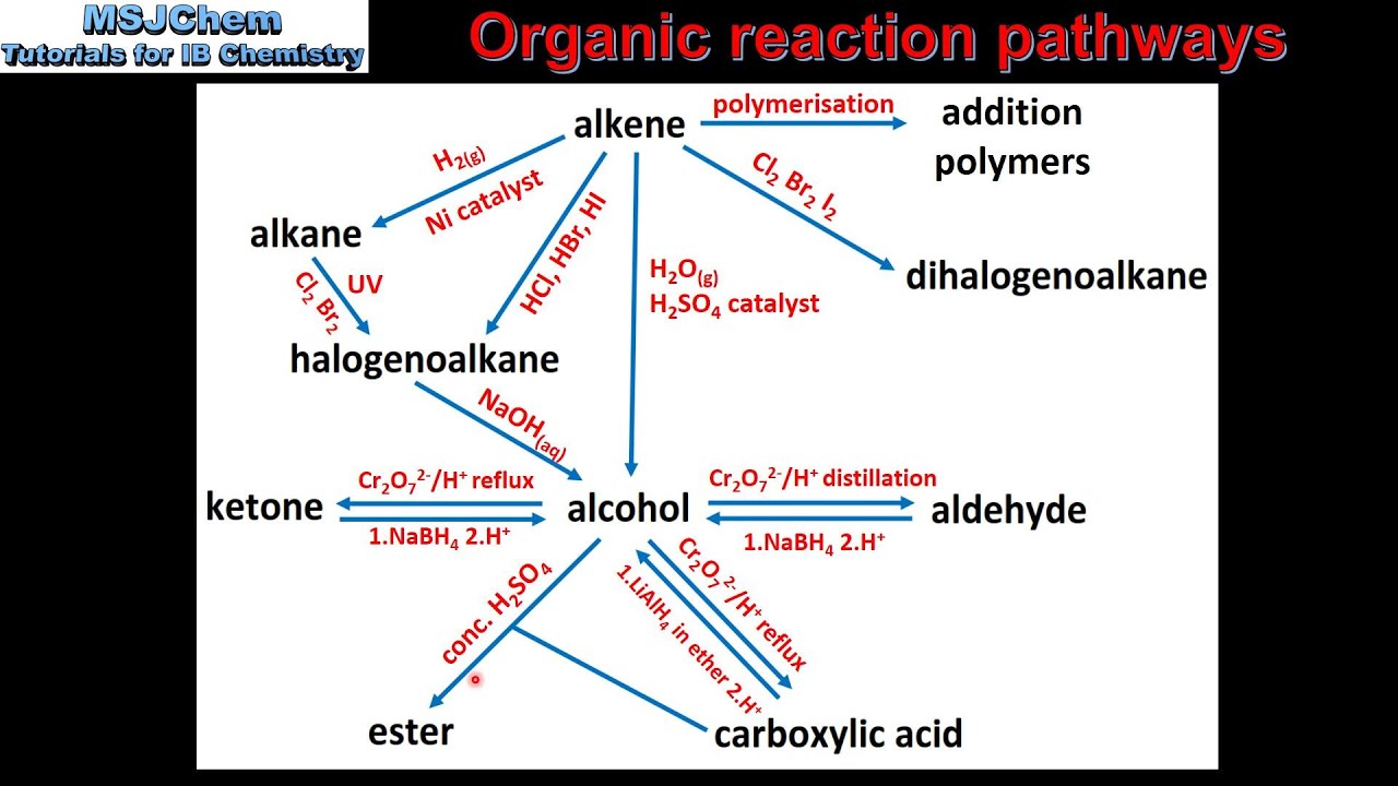 20.2 Organic reaction pathways (HL)
